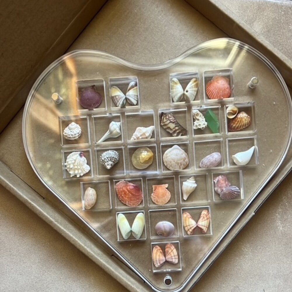 Heart-Shaped Seashell Display - Picture 8 of 8